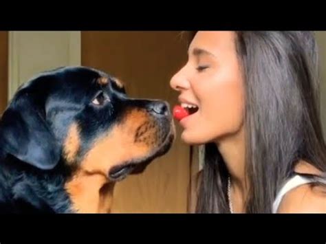 kissing dog porn|Compilation of passionate bestiality kissing .